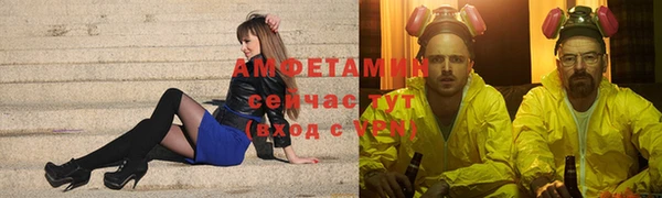 шишки Алексин