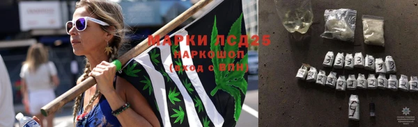 шишки Алексин