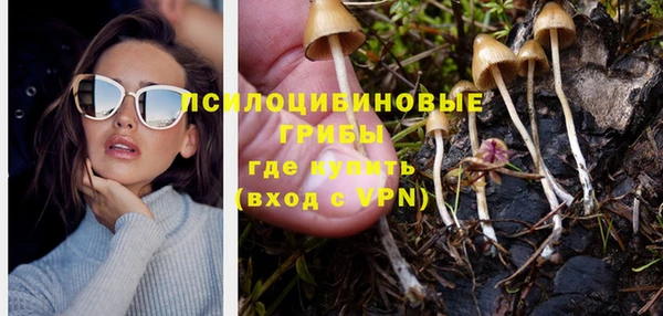 шишки Алексин