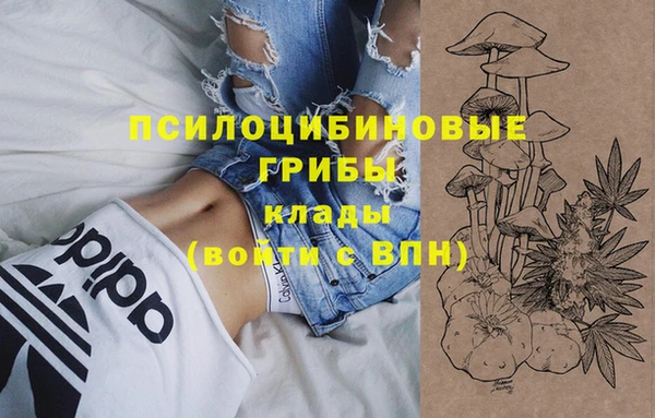 крисы Алексеевка